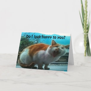 TARJETA ¡EL GATO ENOJADO SE PONE DE PUNTO EN TODO EL CAMIN