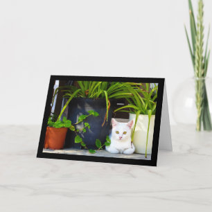 Tarjeta El Gato Entre las Plantas