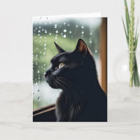 El gato negro en la ventana lluviosa se recuperará