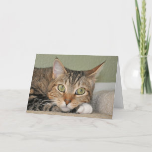 Tarjeta El gato que piensa en usted carda