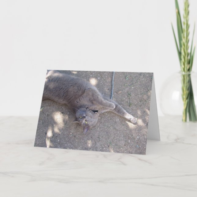 Tarjeta ¡El gato quiere la torta de cumpleaños! (Anverso)