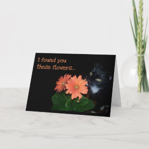 Tarjeta El gato se comió las flores de cumpleaños