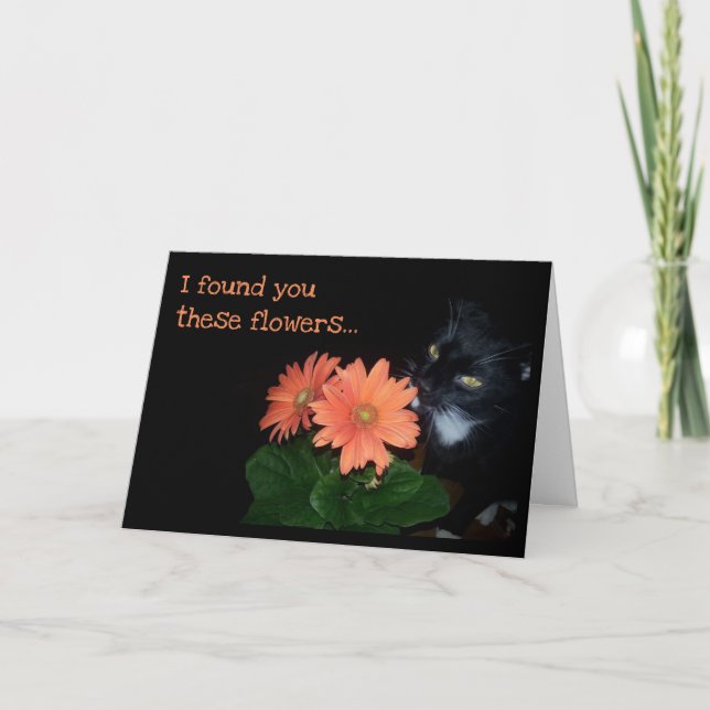 Tarjeta El gato se comió las flores de cumpleaños (Anverso)