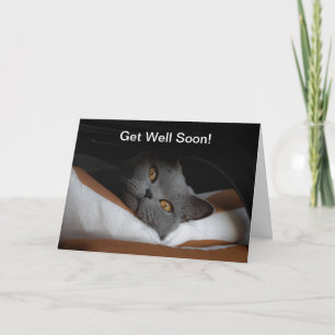 Tarjeta El gato se recuperará pronto del Personalizable
