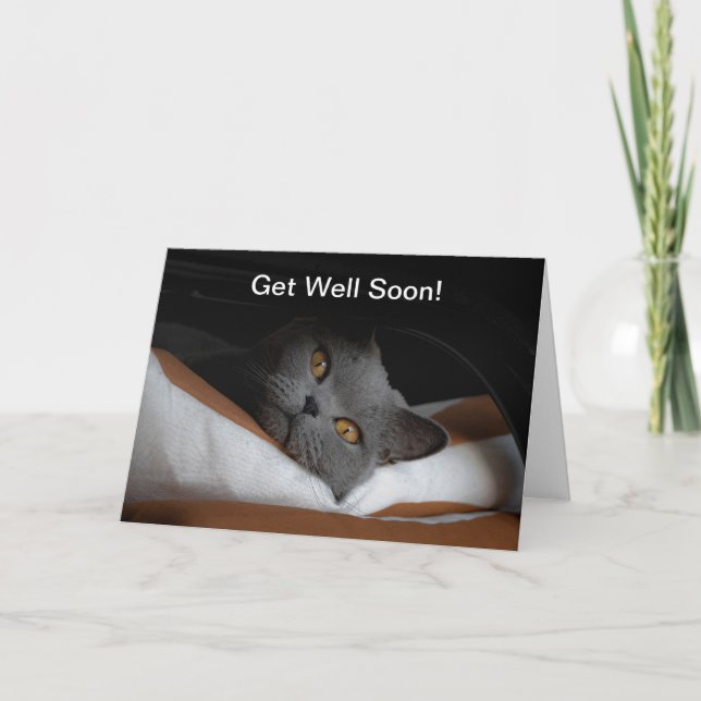 Tarjeta El gato se recuperará pronto del Personalizable (Anverso)