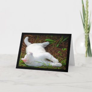 Tarjeta El gato y la mosca