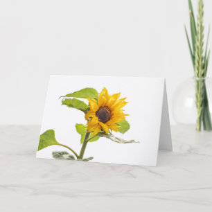 Tarjeta El girasol besa el cielo