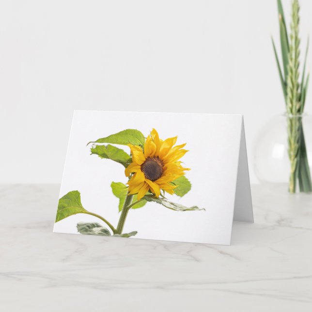 Tarjeta El girasol besa el cielo (Anverso)