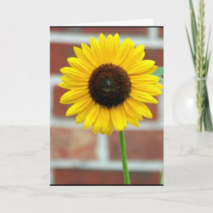 Tarjeta El girasol de Vivian