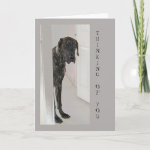 Tarjeta El gran humor de perro Mascota danés pensando en t