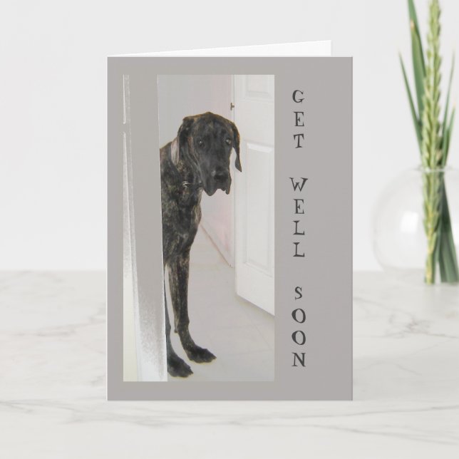 Tarjeta El gran humor de perro Mascota danés se recuperará (Anverso)