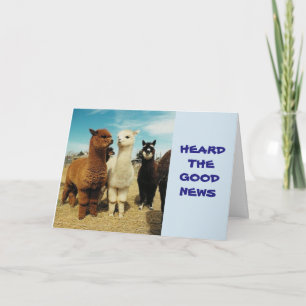 TARJETA EL GRUPO DICE **RETIREMENT-USTED ES LIBRE DISFRUTE