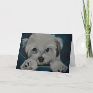 Tarjeta El Havanese