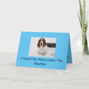 Tarjeta El Hound Basset consigue una buena carta.