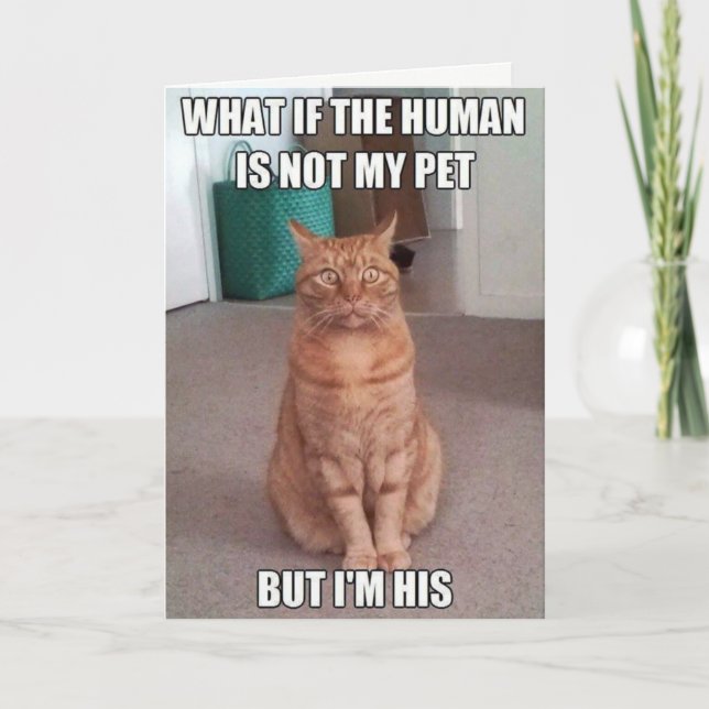 Tarjeta El humano no es mi mascota (Anverso)