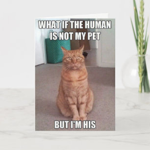 Tarjeta El humano no es mi mascota