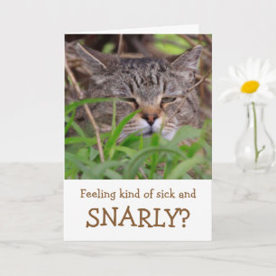 Tarjeta El humor del gato se pone bien