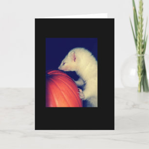 Tarjeta El hurón y la calabaza