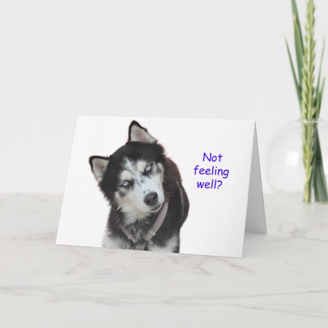 Tarjeta El Husky Siberiano Entra Bien (Anverso)