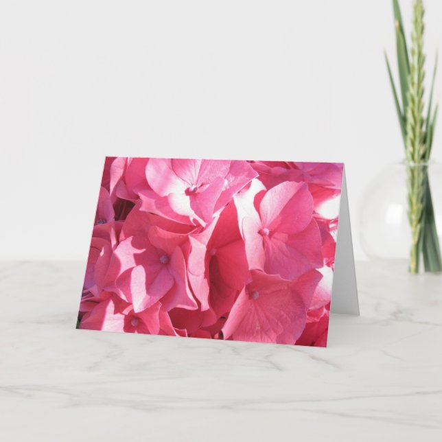 Tarjeta El Hydrangea 2 de Katie (Anverso)