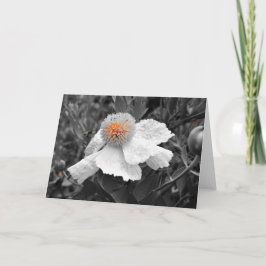 Tarjeta El incendio en el interior