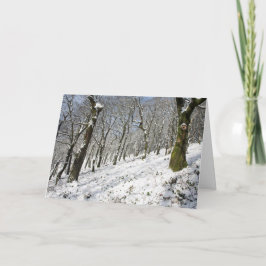 Tarjeta El invierno del bosque de Macclesfield