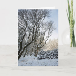 Tarjeta El invierno del bosque de Macclesfield