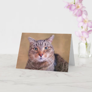 Tarjeta El Kitty De Thouy