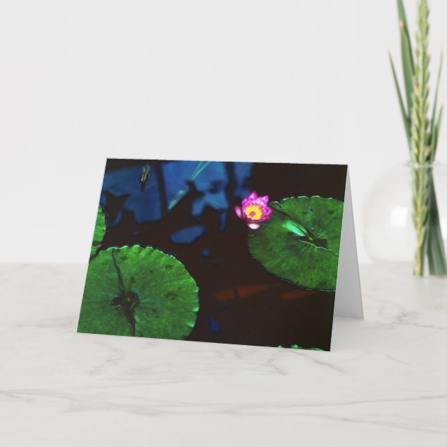 Tarjeta El Koi (Anverso)