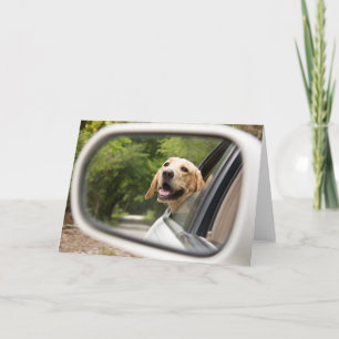 Tarjeta El Labrador de oro en el espejo retrovisor
