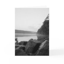 El lago y la niebla