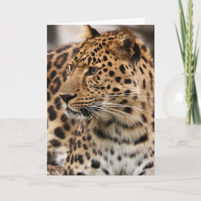 Tarjeta El leopardo (Anverso)