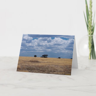 Tarjeta El llano de Serengeti