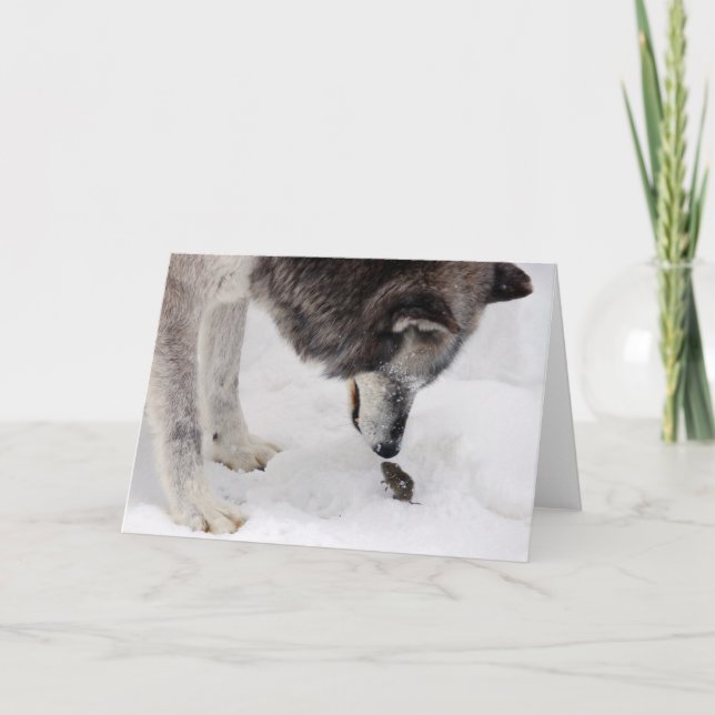 Tarjeta El lobo resuelve el ratón (Anverso)