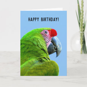 Tarjeta El loro verde Ara Militaris