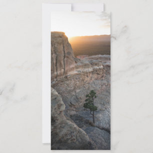 Tarjeta El Malpais Sandstone Bluffs