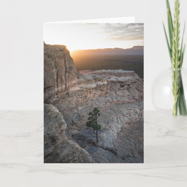 Tarjeta El Malpais Sandstone Bluffs (Anverso)