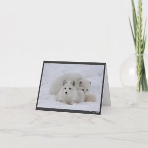 Tarjeta El mantener caliente