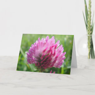 Tarjeta El mapa de saludo flamante trébol rosa, en blanco