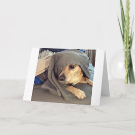 Tarjeta EL MEJOR AMIGO del refugio animal es un saludo