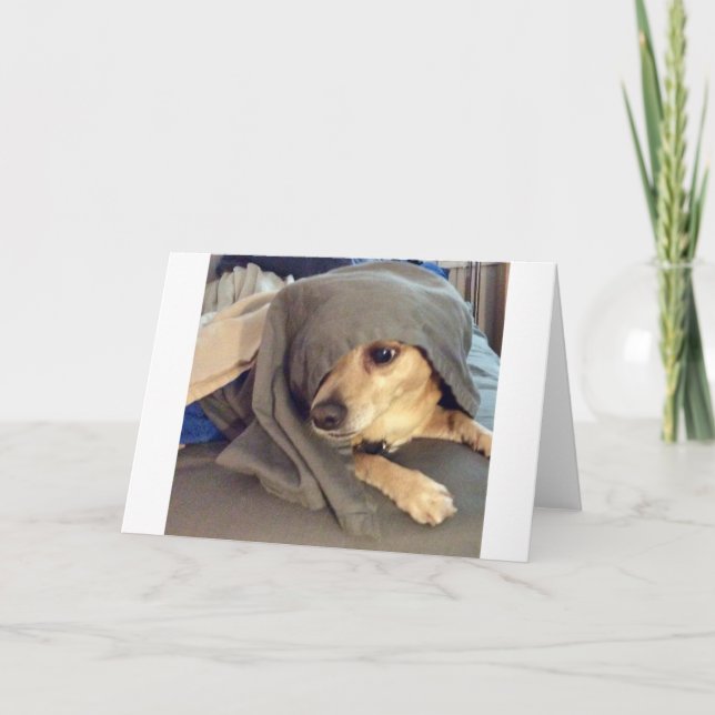 Tarjeta EL MEJOR AMIGO del refugio animal es un saludo (Anverso)