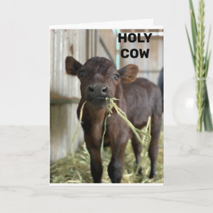 TARJETA EL MOOS MÁS RECIENTE ES QUE ERES ***50***