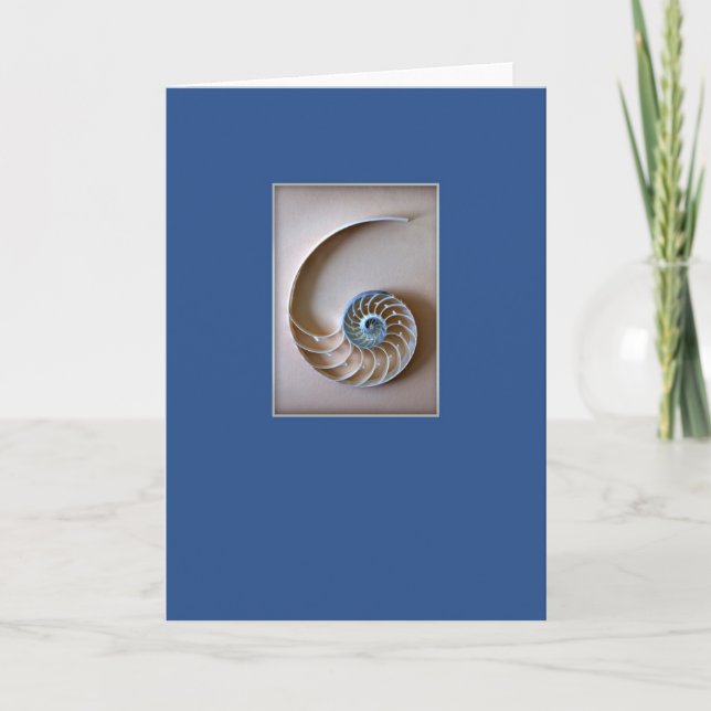 Tarjeta El nautilus Shell secciona (Anverso)