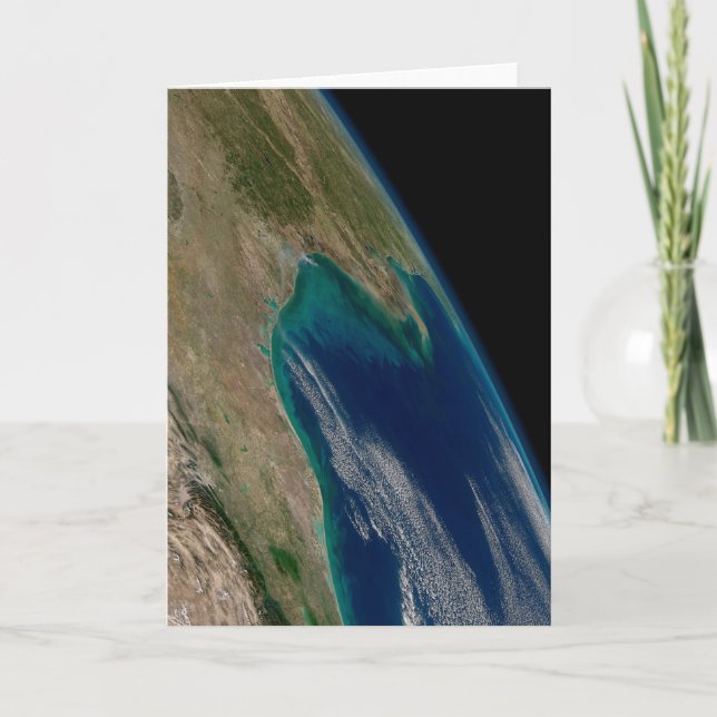 Tarjeta El Norte Del Golfo De México. (Anverso)