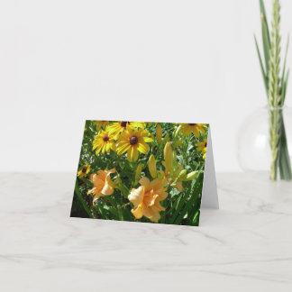 Tarjeta El nuevo día cultiva un huerto Daylily 'Zella