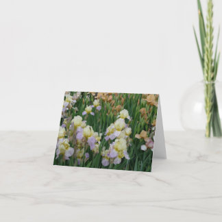 Tarjeta El nuevo día cultiva un huerto iris 'Enriched de