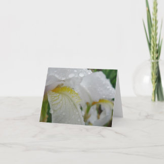 Tarjeta El nuevo día cultiva un huerto iris 'Florintina de