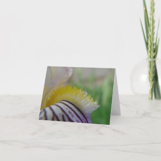 Tarjeta El nuevo día cultiva un huerto iris histórico del