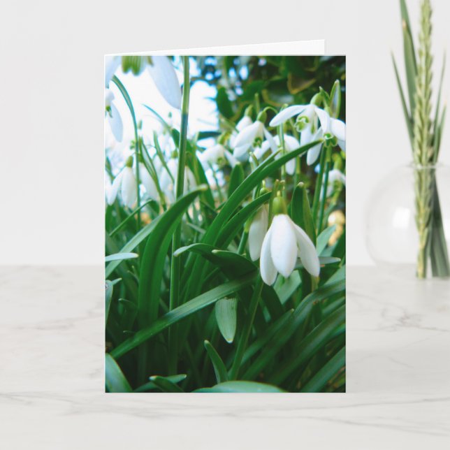 Tarjeta El originarse (Anverso)