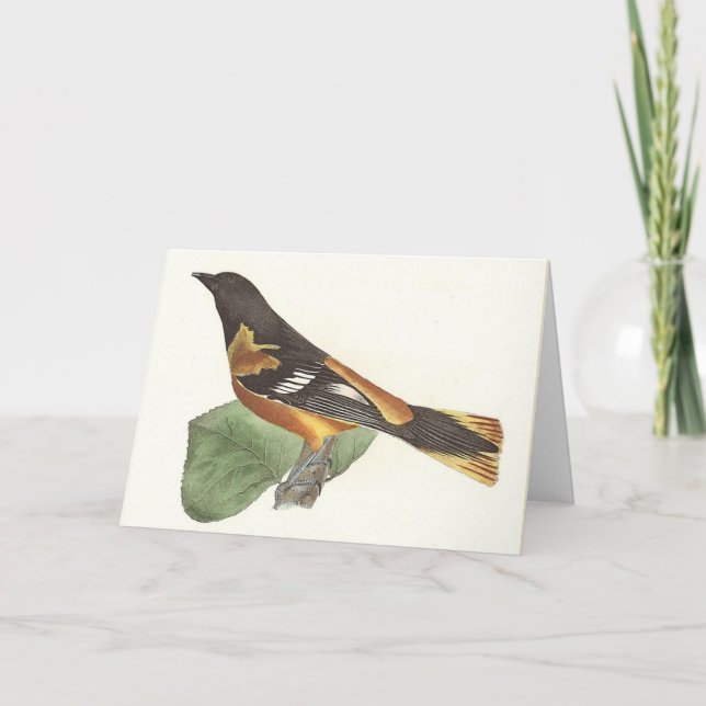 Tarjeta El Oriole de Oro o Baltimore (Icterus galbula) (Anverso)